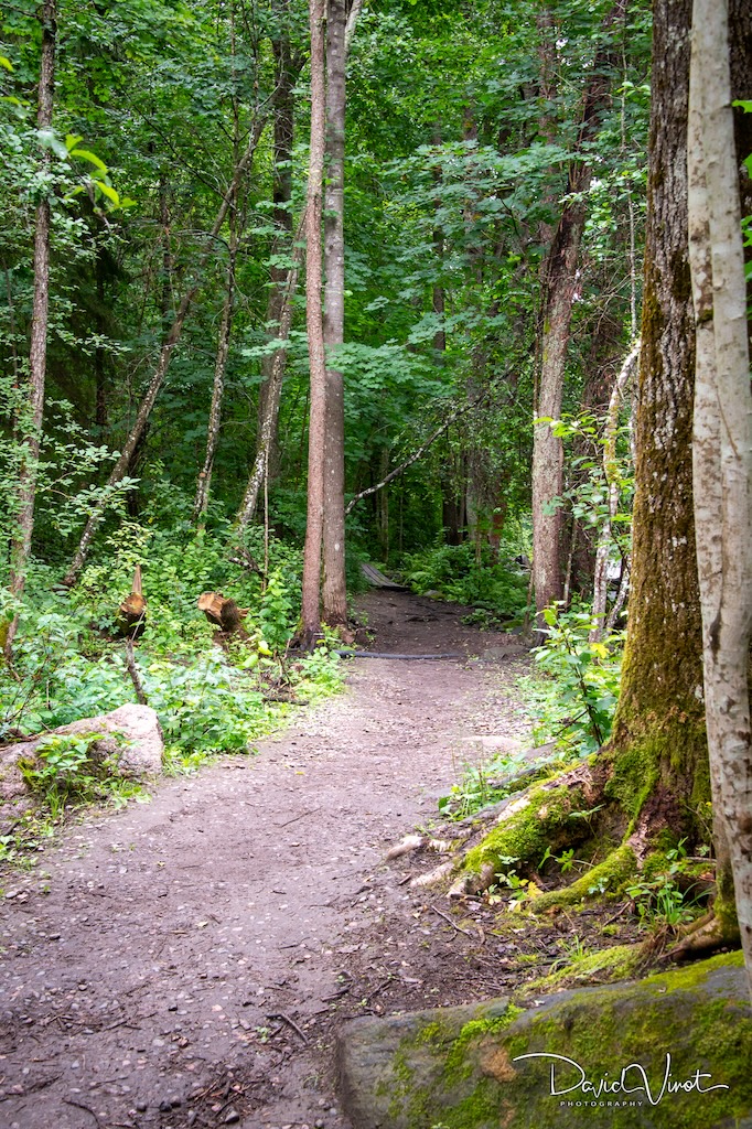 Nukarinkoski rapids