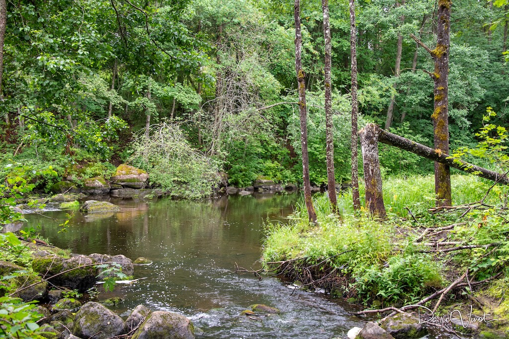 Nukarinkoski rapids