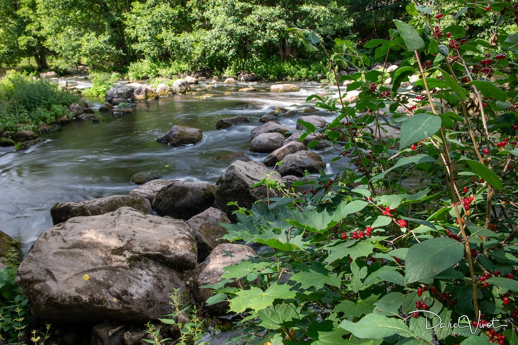 Nukarinkoski rapids