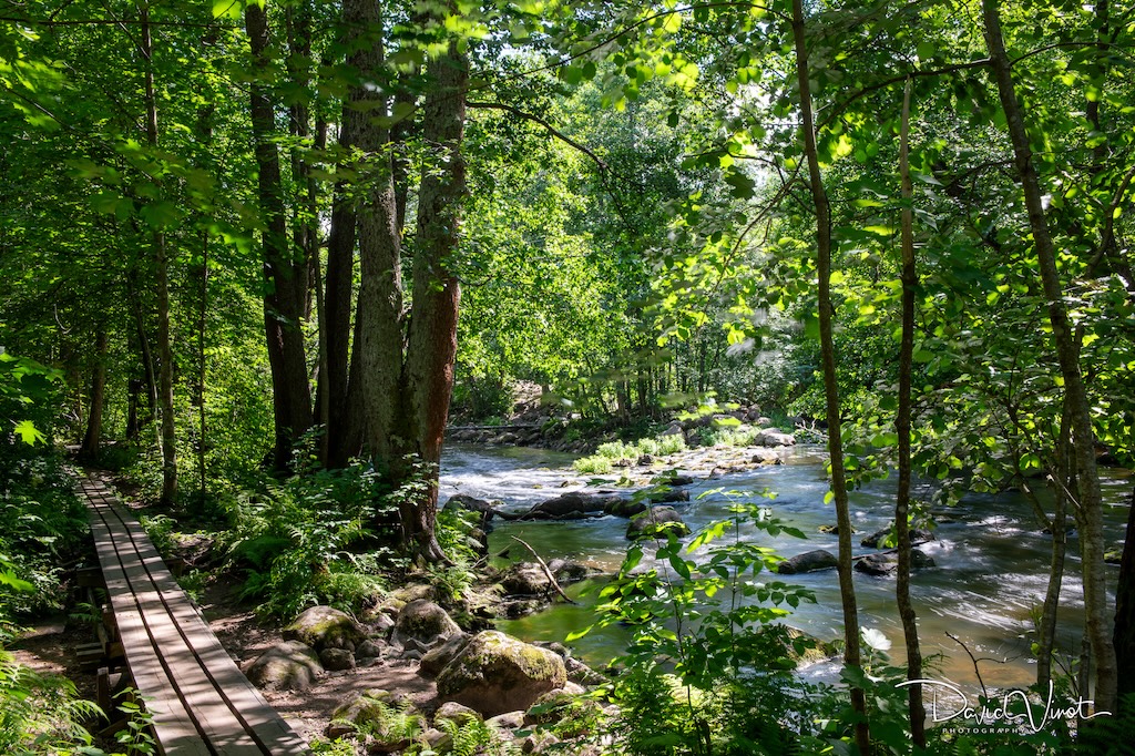 Nukarinkoski rapids