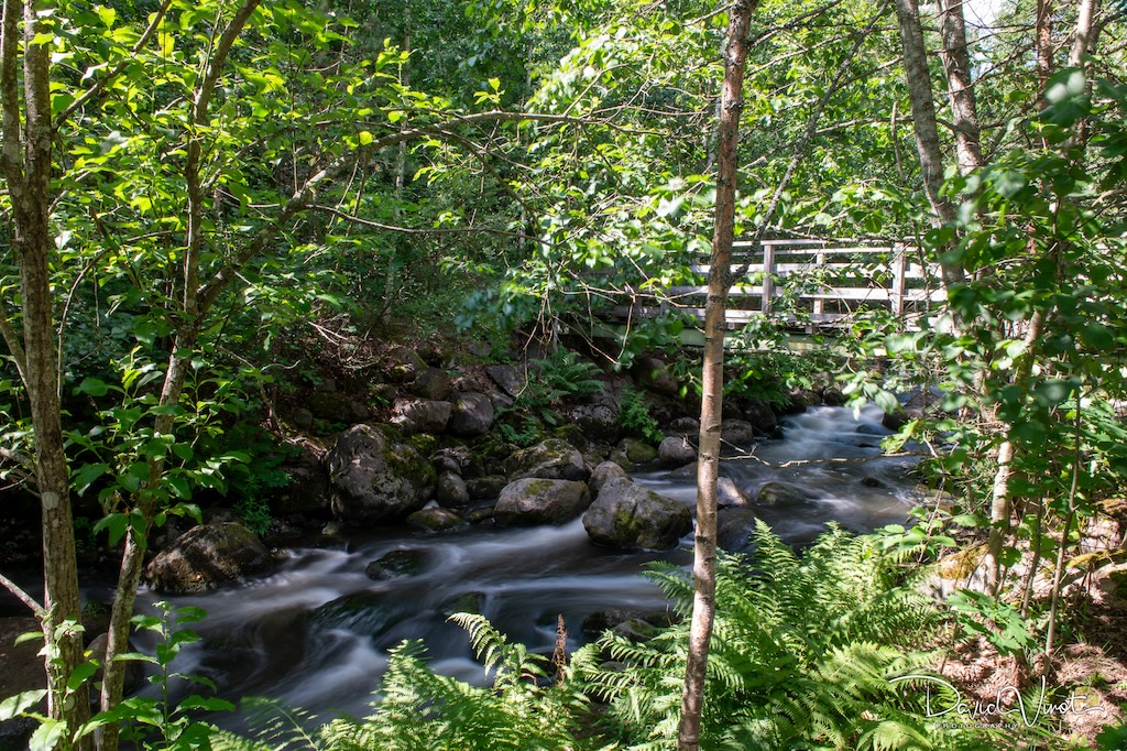 Nukarinkoski rapids