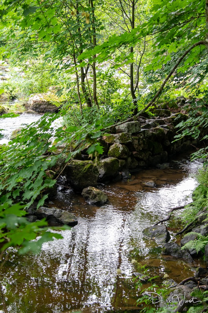 Nukarinkoski rapids